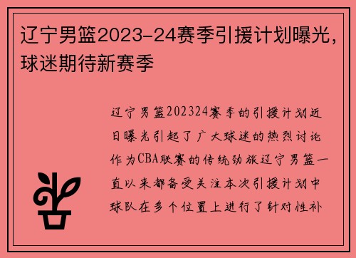 辽宁男篮2023-24赛季引援计划曝光，球迷期待新赛季