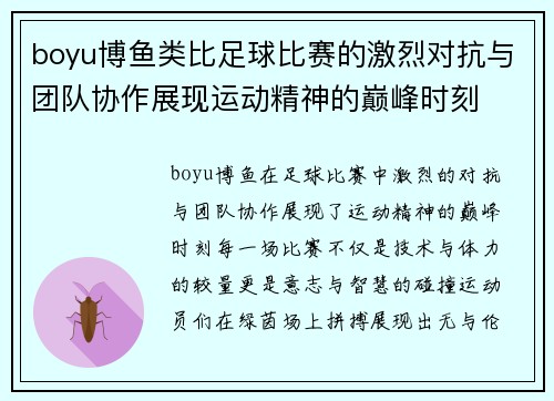 boyu博鱼类比足球比赛的激烈对抗与团队协作展现运动精神的巅峰时刻